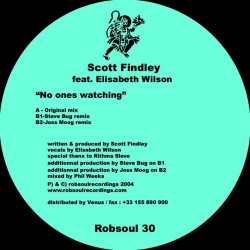 Scott Findley feat.Elisabeth Wilson - No Ones Watching