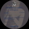 Phil Weeks Feat. Ladybird - Searching4Love (Test Pressing)